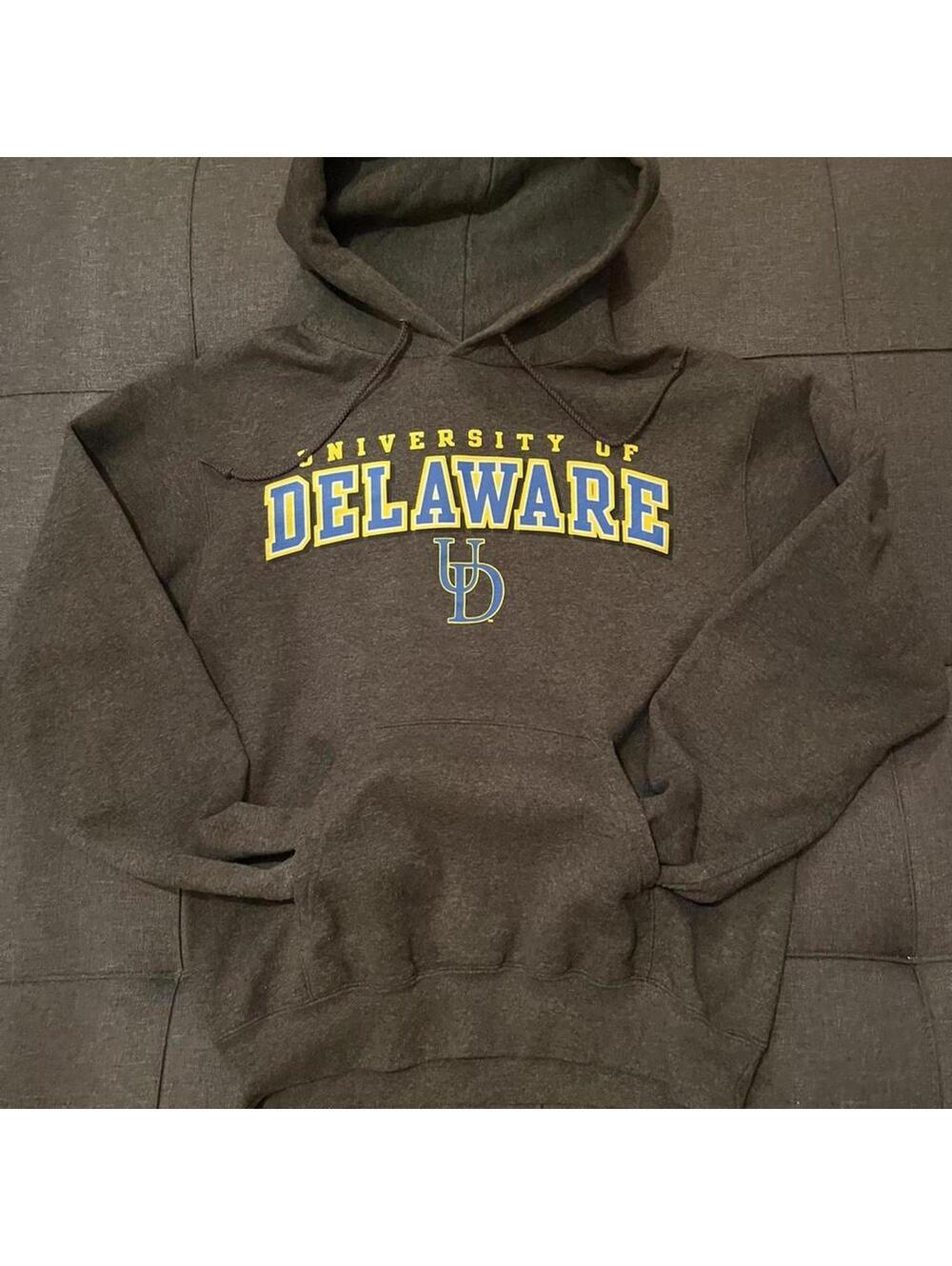 Y2K University of Deleware Blue hens, Hoodie Sweatshirt, Small by Champion